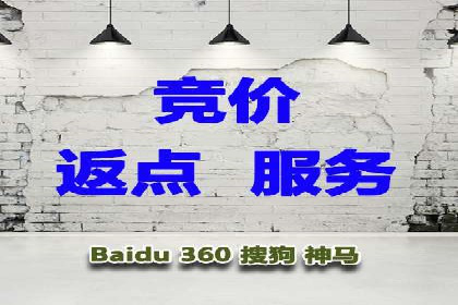 竞价广告的投放技巧与网络推广的实践
